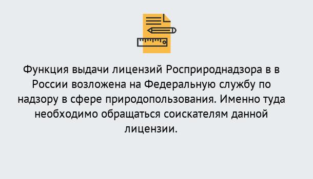 Почему нужно обратиться к нам? Сланцы Лицензия Росприроднадзора. Под ключ! в Сланцы