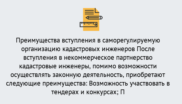 Почему нужно обратиться к нам? Сланцы Что дает допуск СРО кадастровых инженеров?