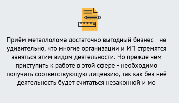 Почему нужно обратиться к нам? Сланцы Лицензия на металлолом. Порядок получения лицензии. В Сланцы