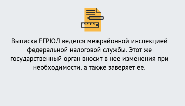 Почему нужно обратиться к нам? Сланцы Выписка ЕГРЮЛ в Сланцы ?