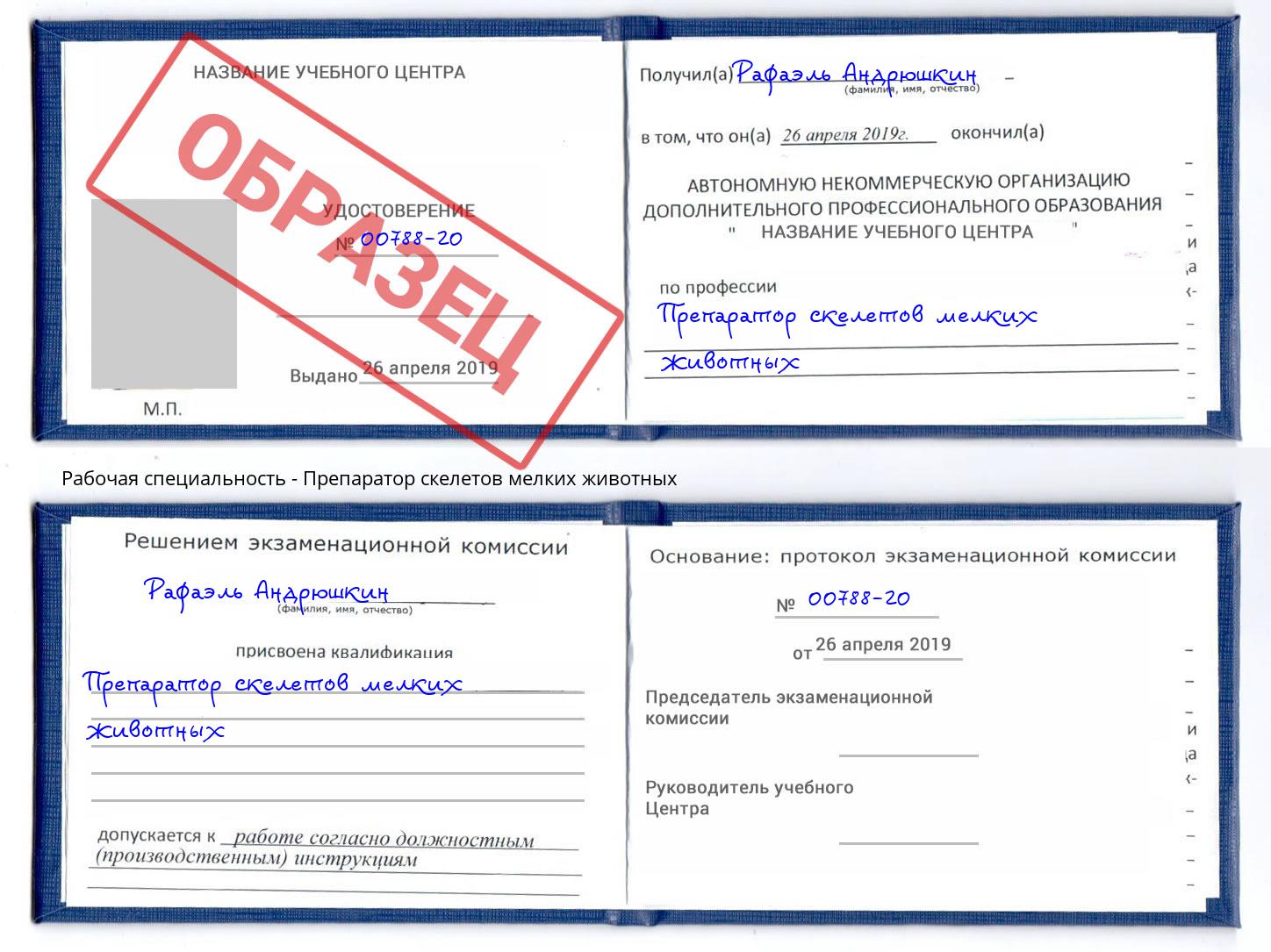 Препаратор скелетов мелких животных Сланцы