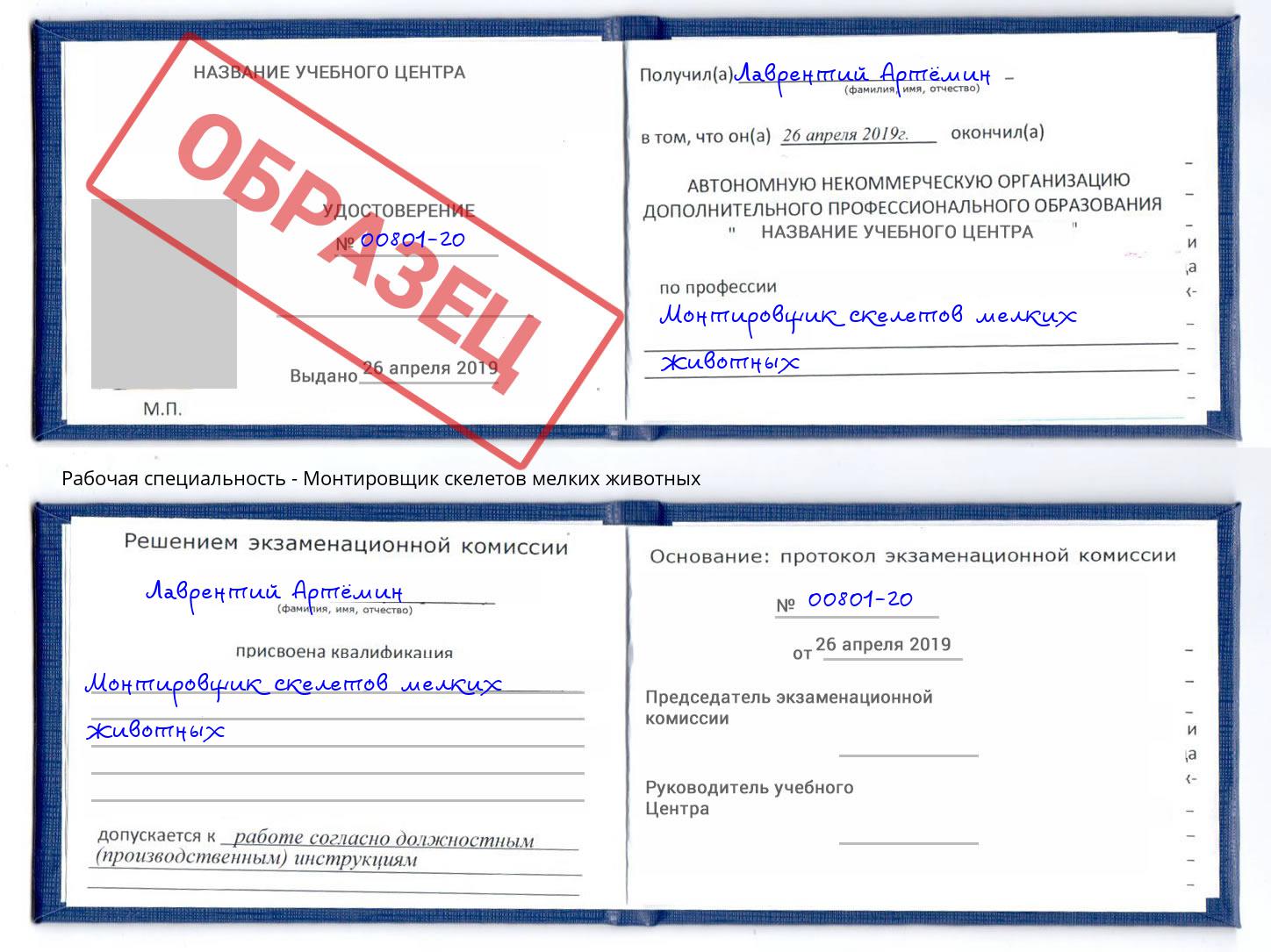 Монтировщик скелетов мелких животных Сланцы