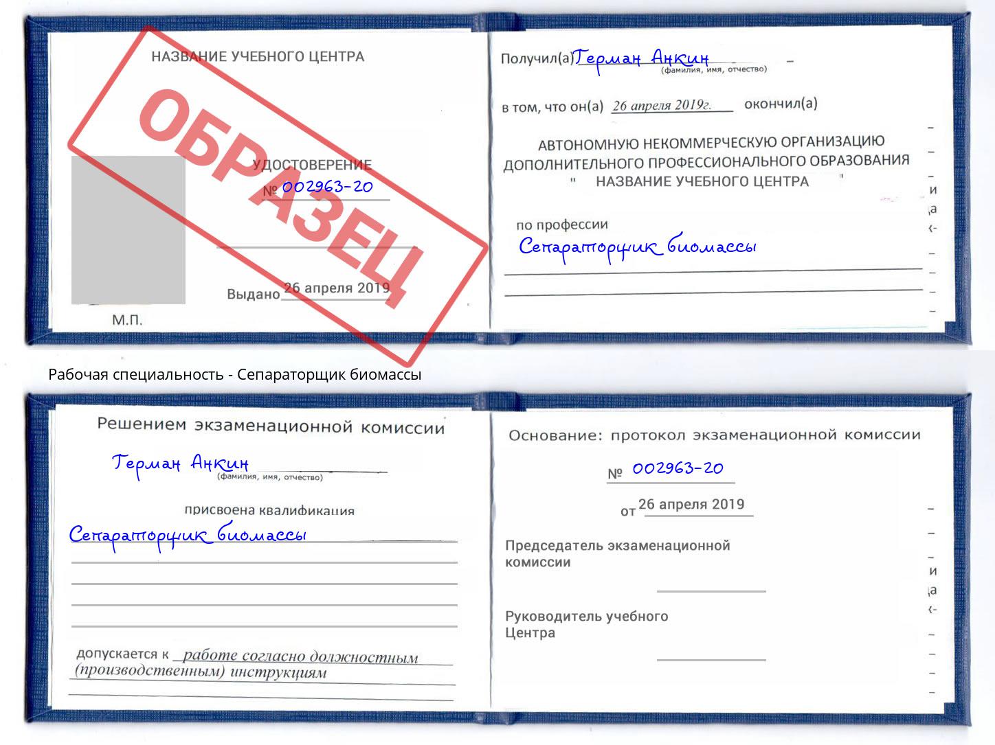 Сепараторщик биомассы Сланцы