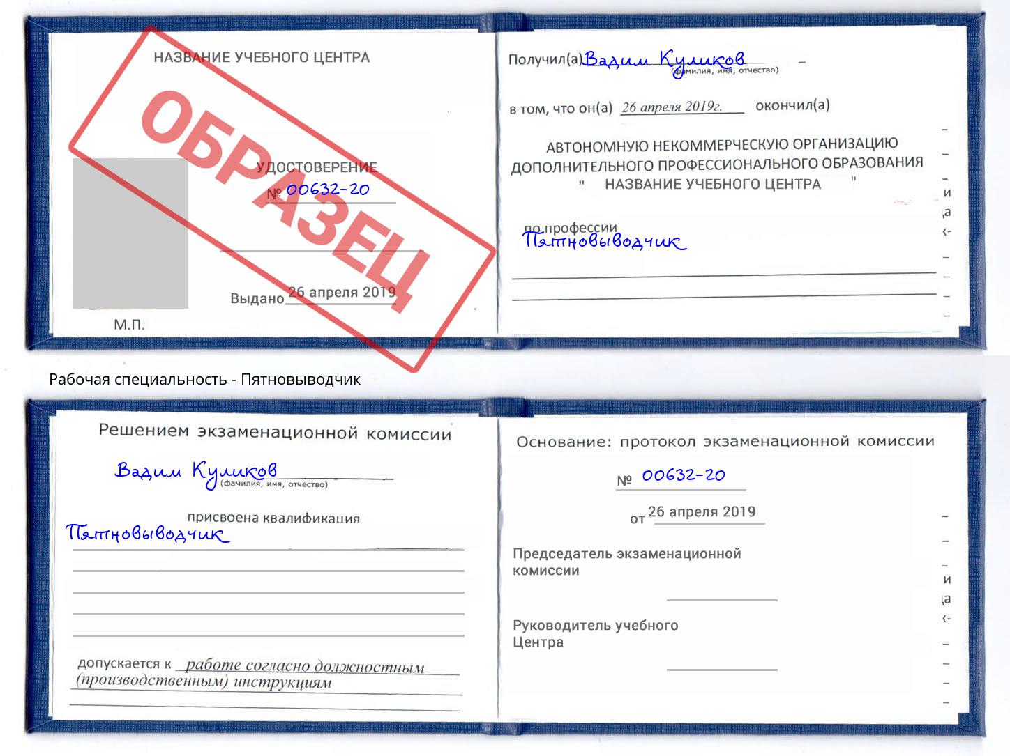 Пятновыводчик Сланцы