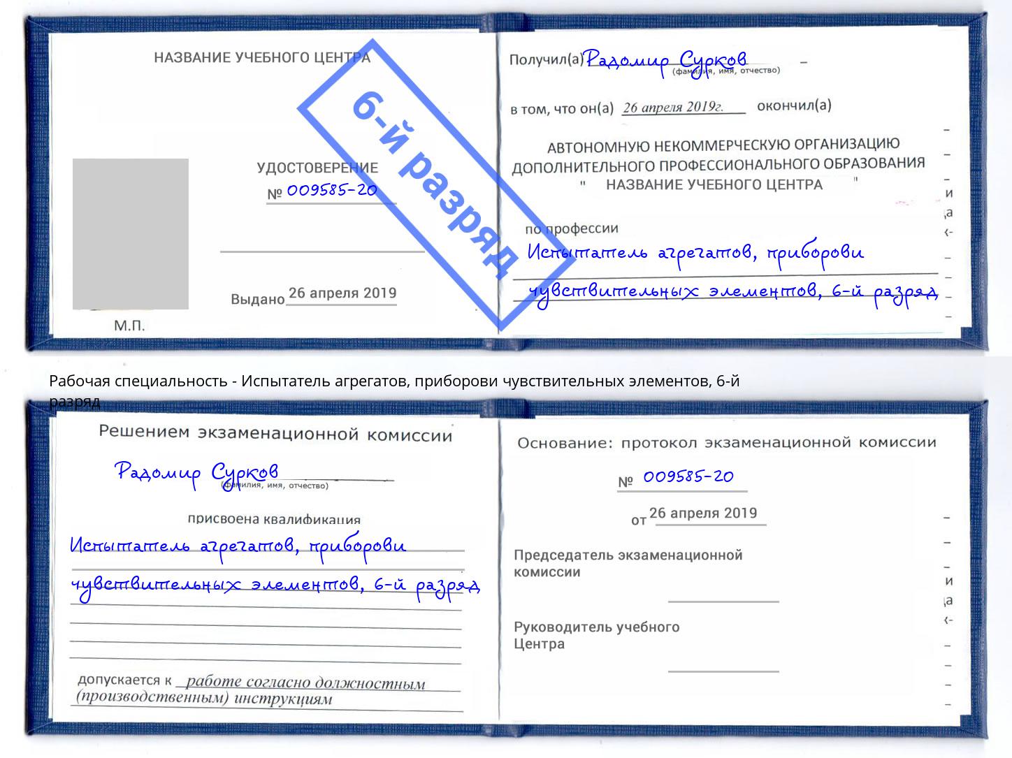 корочка 6-й разряд Испытатель агрегатов, приборови чувствительных элементов Сланцы