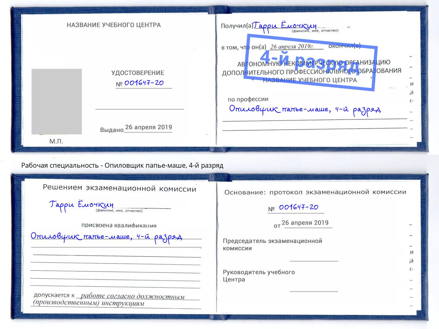 корочка 4-й разряд Опиловщик папье-маше Сланцы