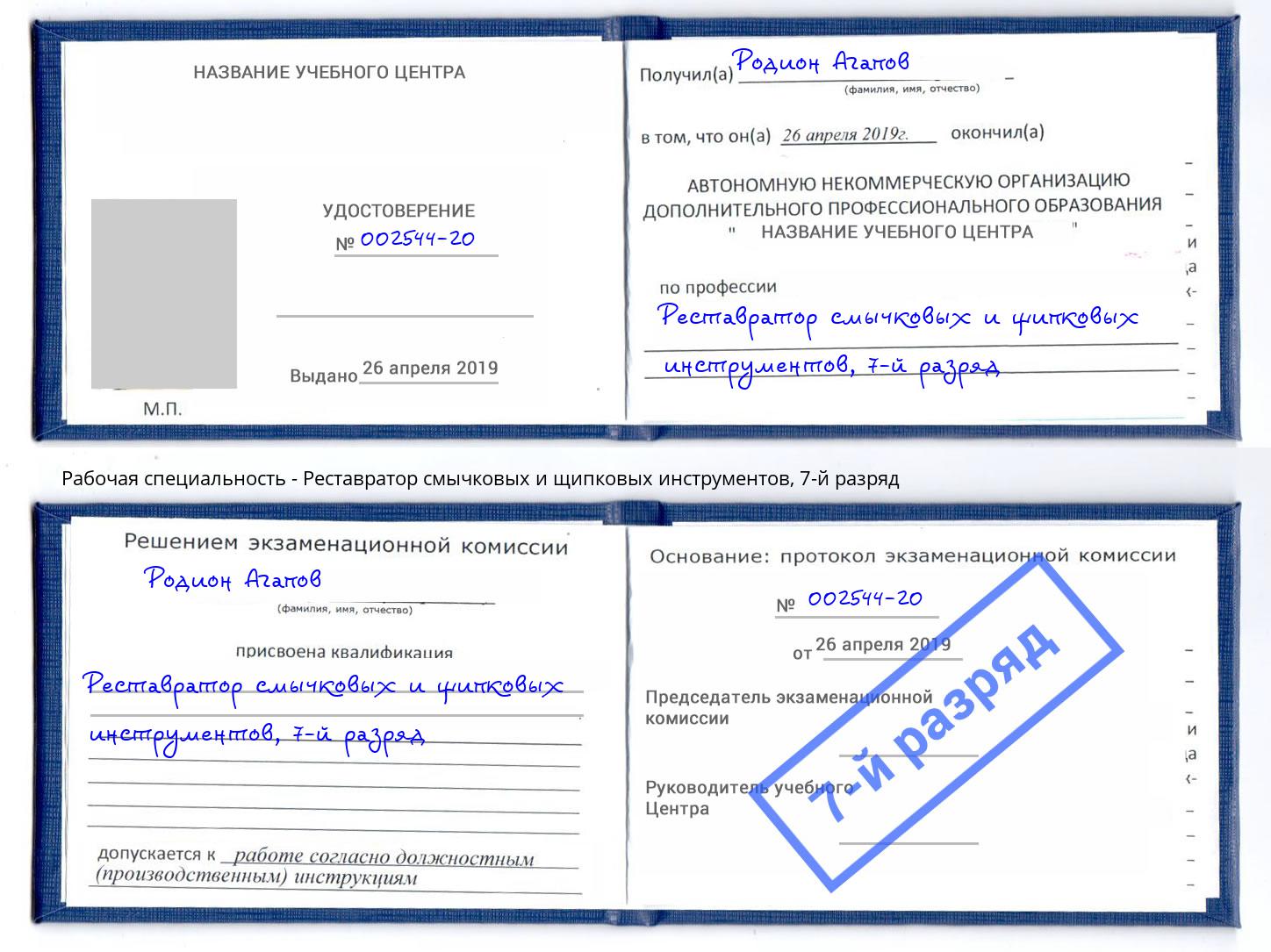 корочка 7-й разряд Реставратор смычковых и щипковых инструментов Сланцы