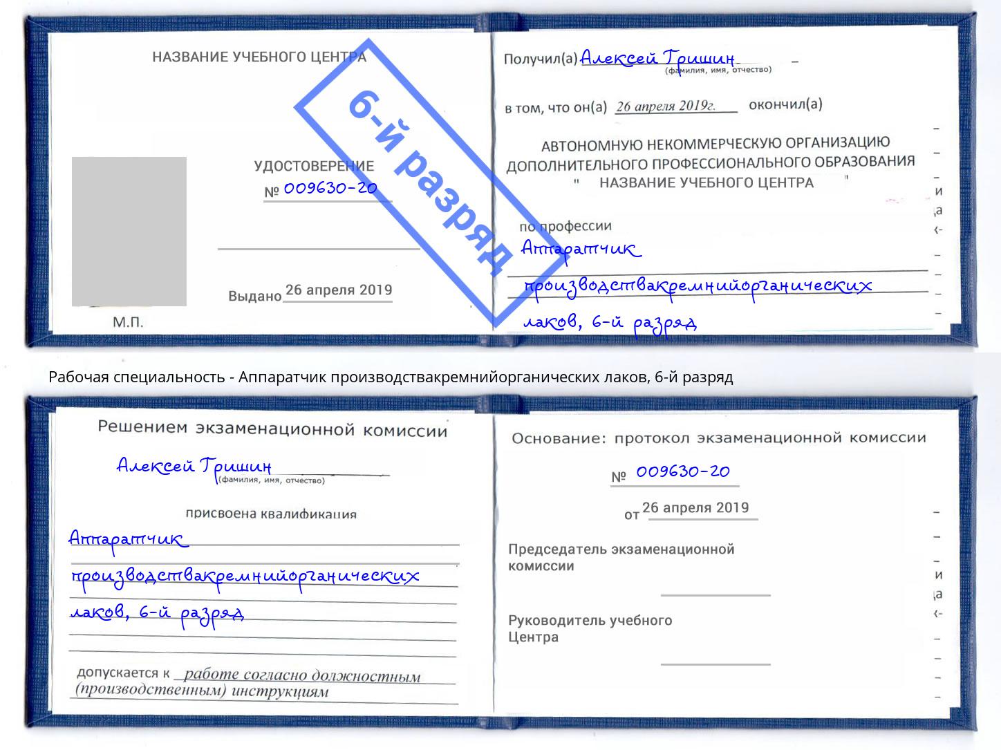 корочка 6-й разряд Аппаратчик производствакремнийорганических лаков Сланцы