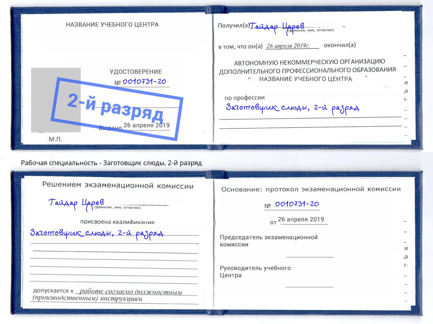 корочка 2-й разряд Заготовщик слюды Сланцы