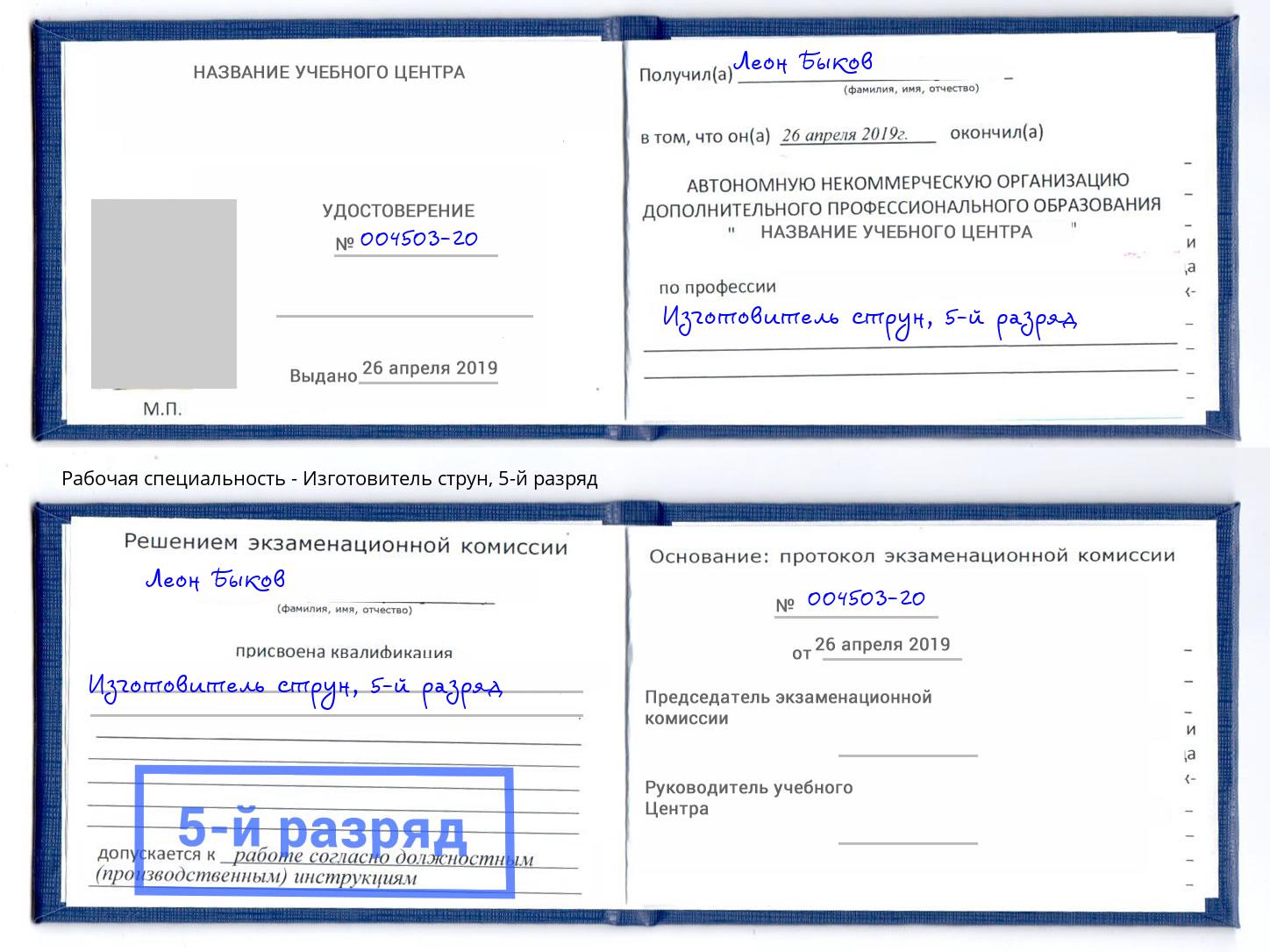 корочка 5-й разряд Изготовитель струн Сланцы