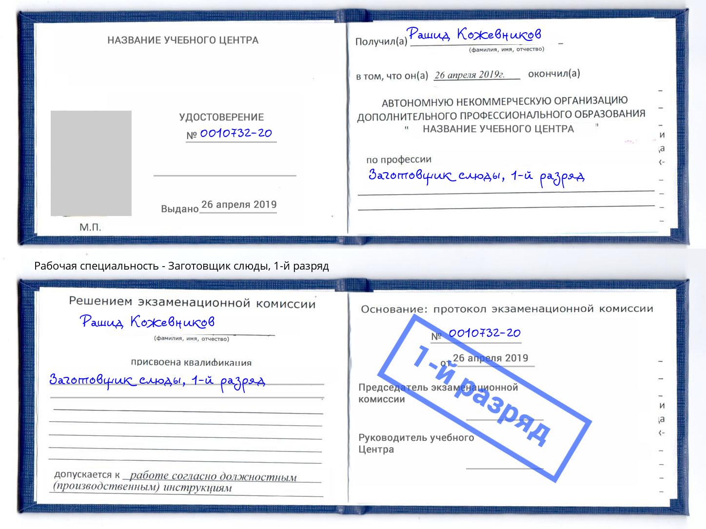 корочка 1-й разряд Заготовщик слюды Сланцы
