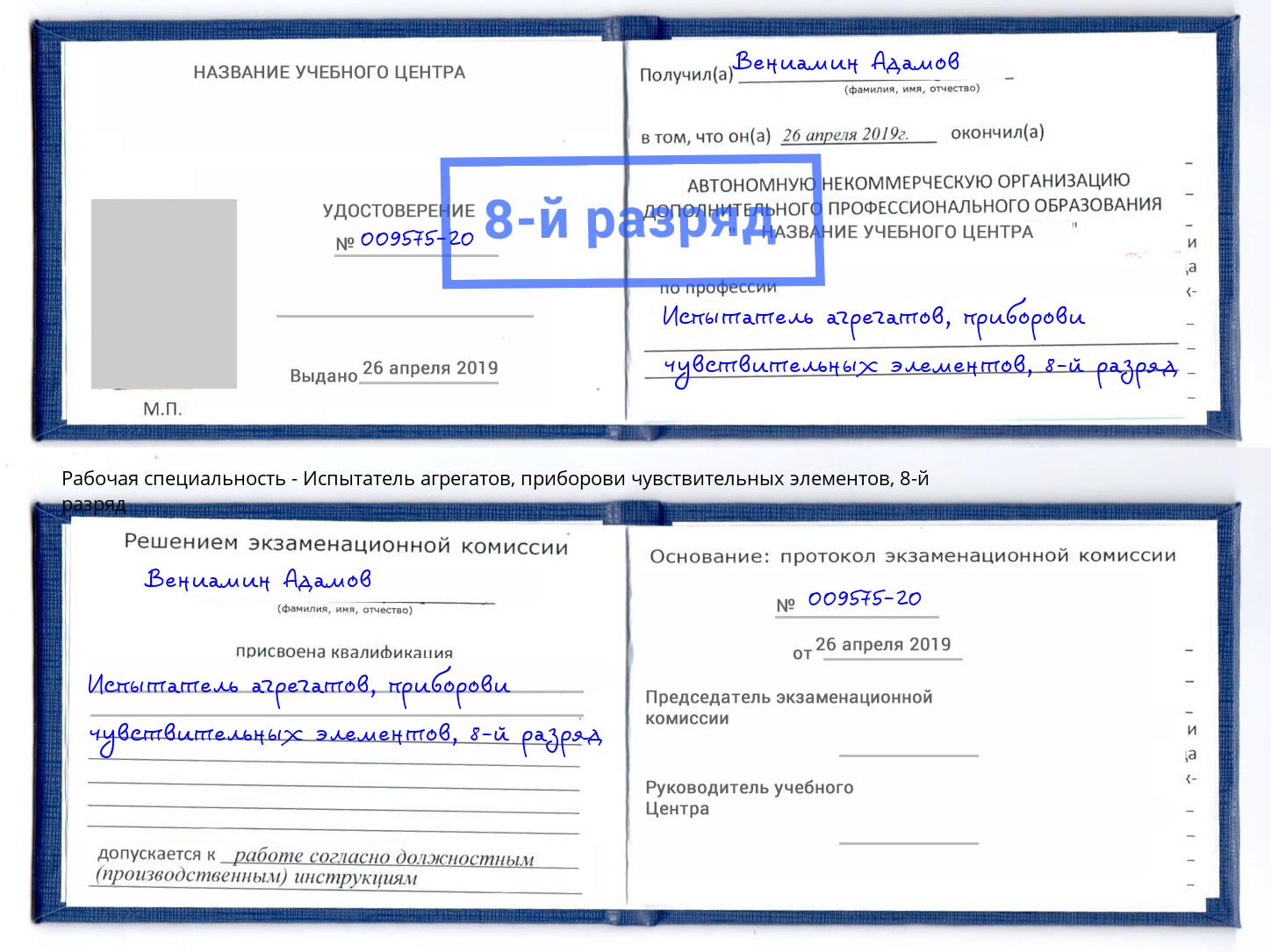 корочка 8-й разряд Испытатель агрегатов, приборови чувствительных элементов Сланцы